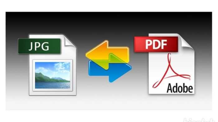 Как перевести pdf в jpg: обзор лучших конвертеров