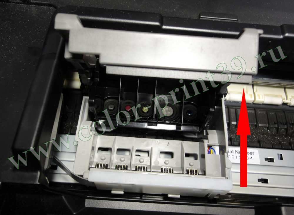 Как почистить головку принтера hp: 2 рабочих способа