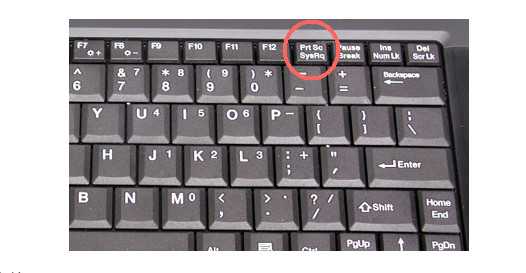 Что делать, если не работает часть клавиатуры на ноутбуке?