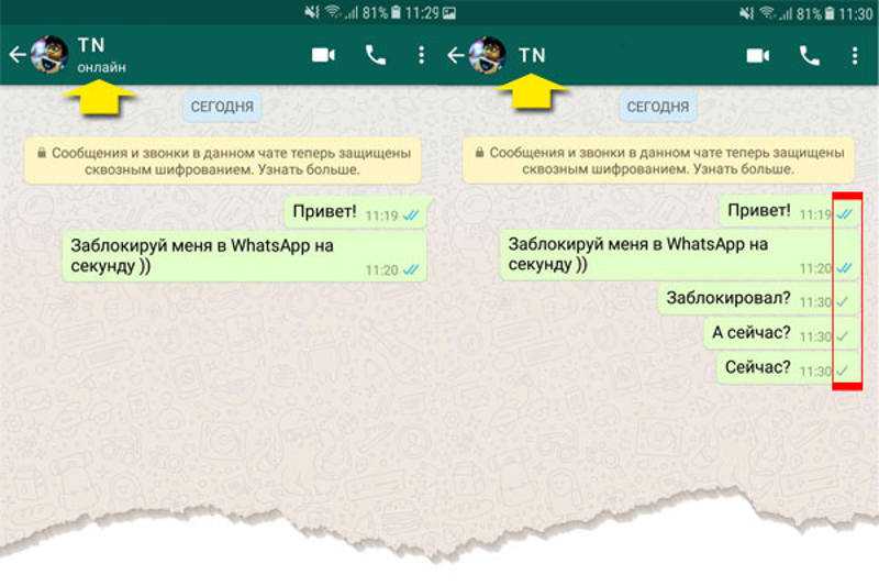 Видит ли заблокированный. Как понять что вас заблокировали в ватсап. Как понять что ты заблокирован в ватсапе. Как понять что человек тебя заблокировал в ватсап. Как понять что ты в ЧС В ватсапе.