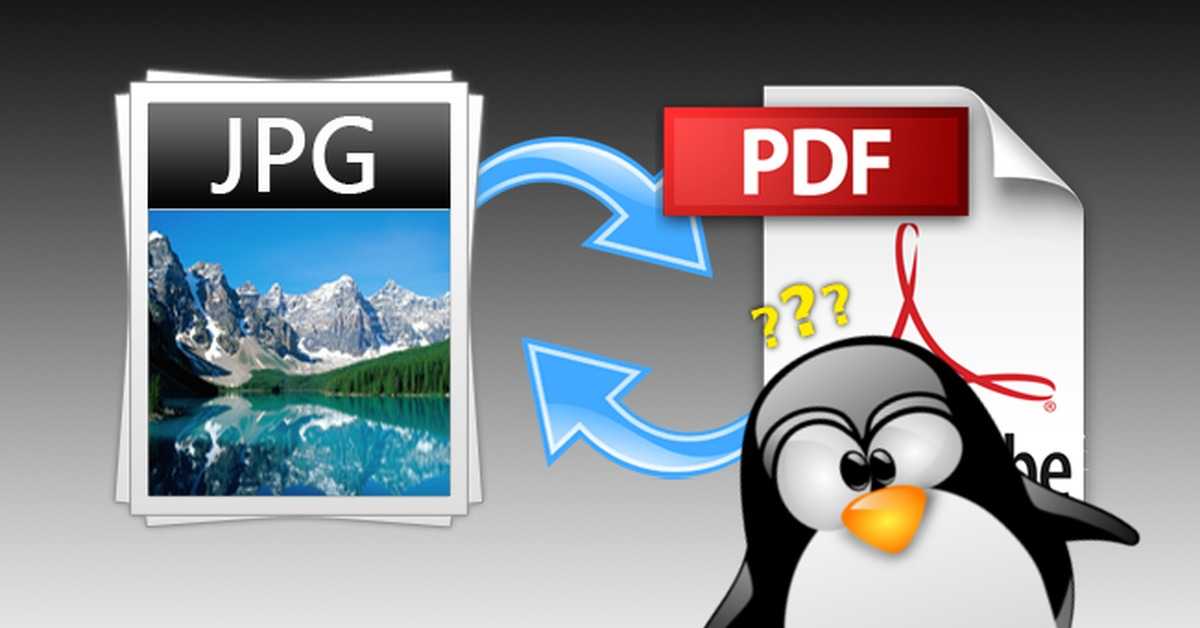 Лучшие программы для перевода pdf в jpg