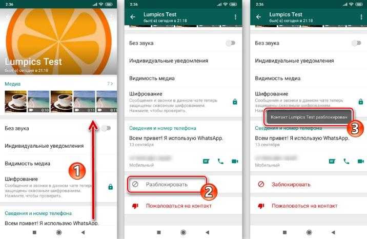 5 способов как узнать что тебя заблокировали в whatsapp? как понять кто заблокировал меня в ватсапе