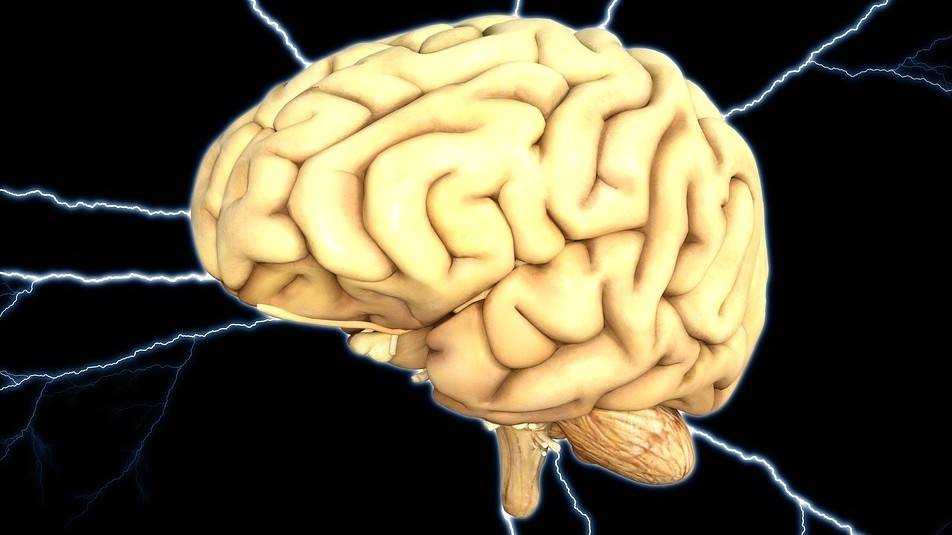 От живого мозга к искусственному интеллекту