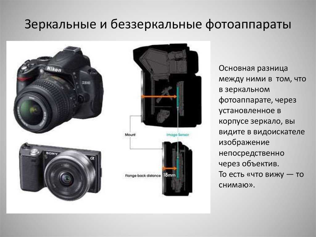 Выбор беззеркального фотоаппарата в 2019 - progamer.ru