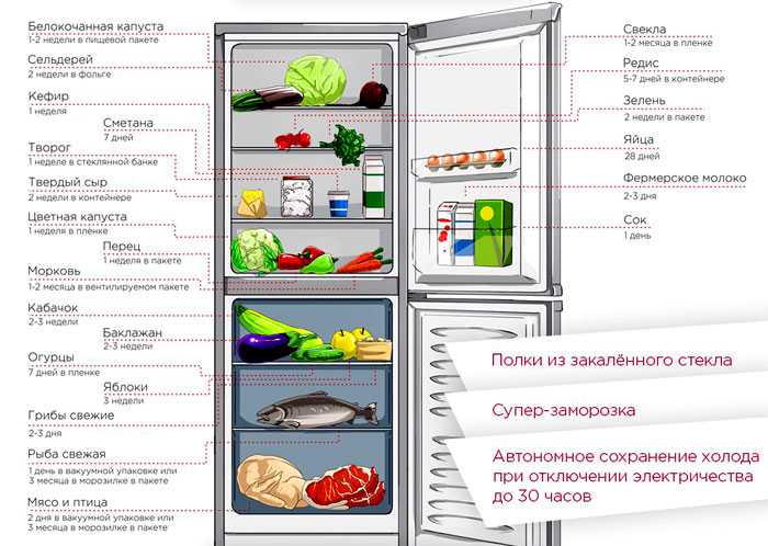 Как перевозить холодильник правильно: можно ли в лежачем положении