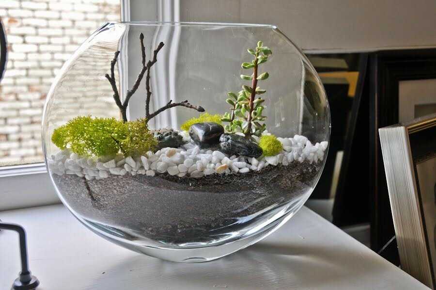 Декоративный аквариум своими руками без воды