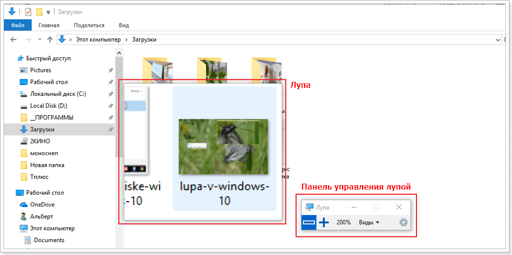 Windows экранная лупа. Экранная лупа. Лупа Windows 10. Программа лупа для компьютера. Программа лупа для просмотра файлов для компьютера.