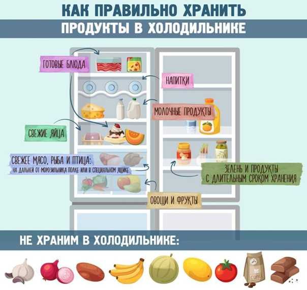 Соблюдаем правила хранения продуктов в холодильнике