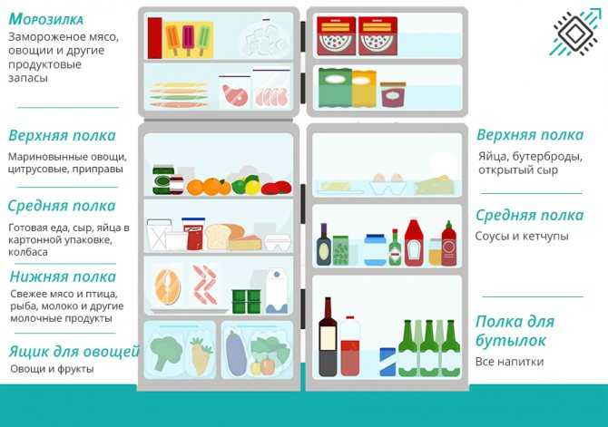 Как правильно хранить продукты в морозилке, холодильнике и кладовке. топ фото лучшей организации места в холодильнике!