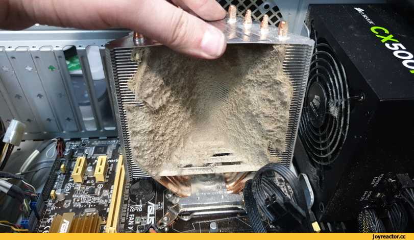 Как почистить ноутбук от пыли самостоятельно: это может каждый