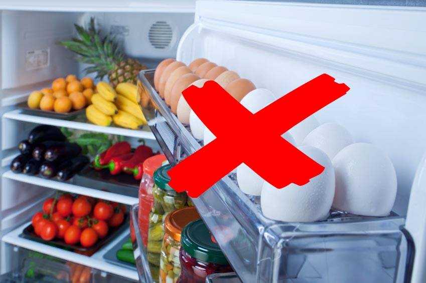 Почему нельзя ставить горячее в холодильник - red fox day
