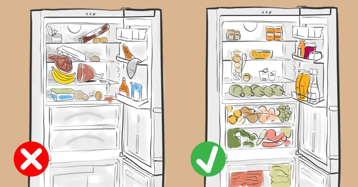 Хранение продуктов в холодильнике – общие правила, фото