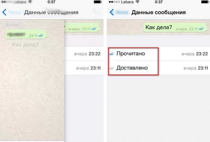 2 способа прочитать удаленные сообщения в whatsapp