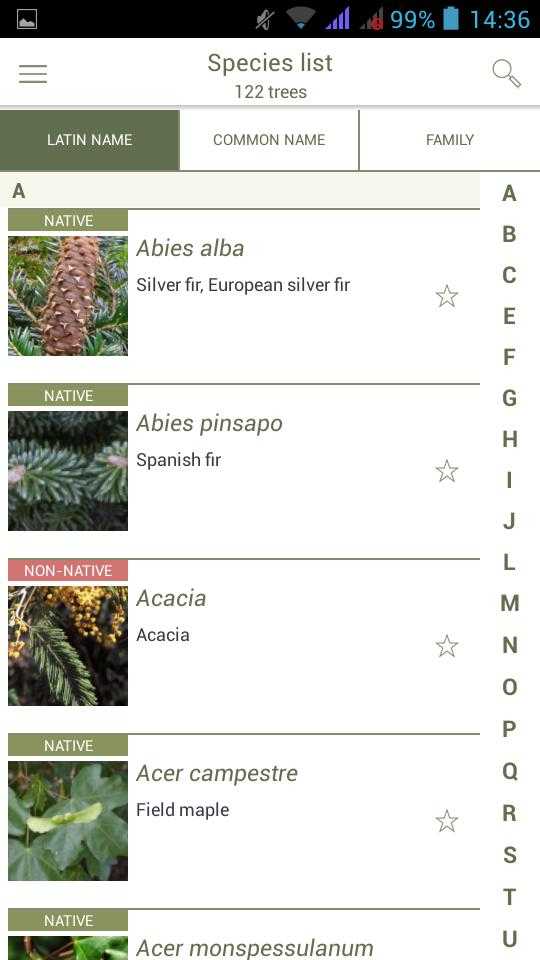 Программа для идентификации растений по фотографии