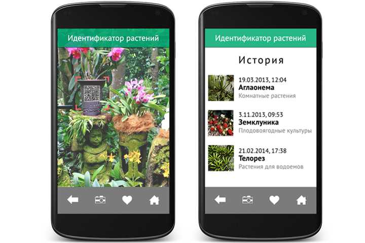 Распознавание растений по фото для андроид на русском