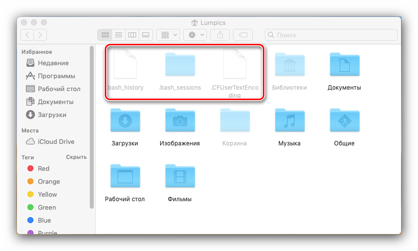 Показать скрытые файлы mac os. Отображение скрытых папок mac os .ssh. как отобразить скрытые папки в mac os. где папка загрузки на маке.