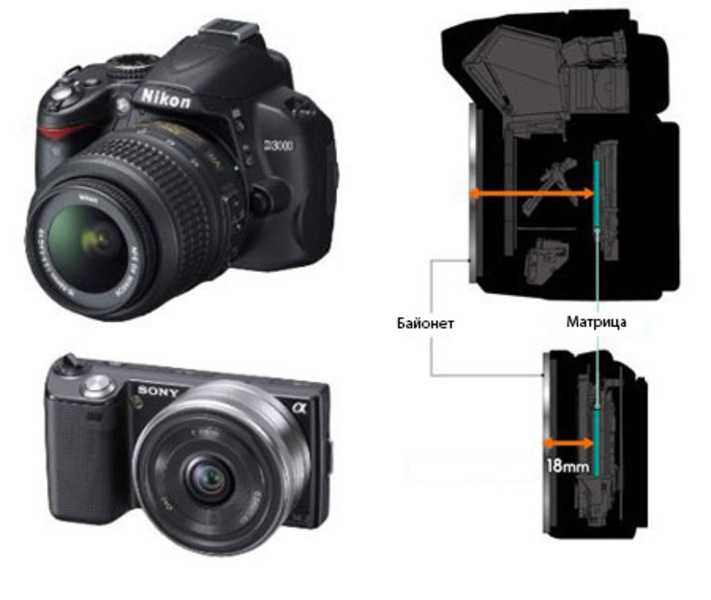 Выбираем фотокамеру: зеркалка, беззеркалка, компакт или смартфон?