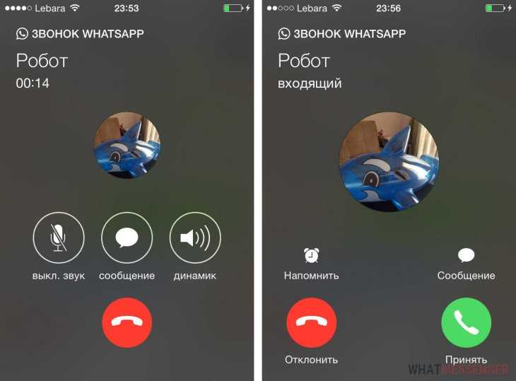 Видеоконференция в whatsapp: как работает функция, как совершить групповой видеозвонок