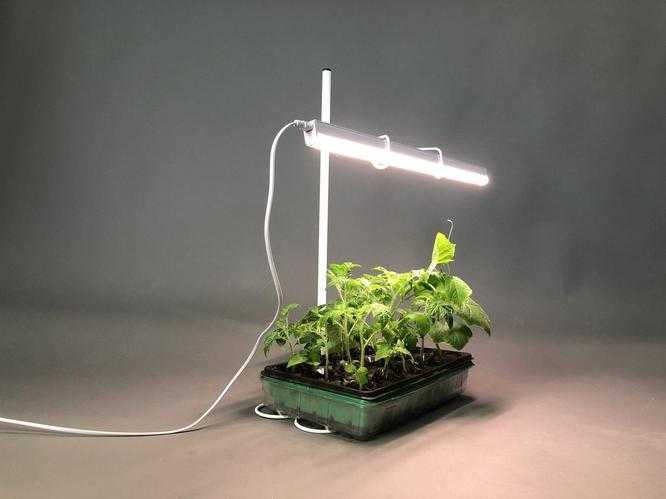 Выращивать в домашних условиях растения  как декоративные, так и рассаду  можно только, обеспечив подходящее освещение Сделать его можно, подбирая хорошие осветительные приборы по способу получения света, мощности освещения, формфактору и другим критериям