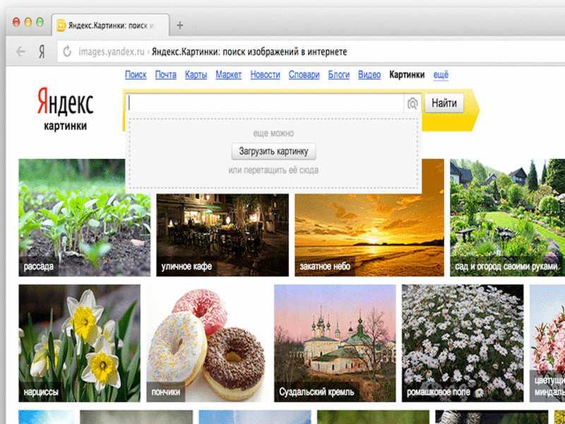 Найти фото по изображению. Поиск по картинке. Искать картинку по картинке. Поиск изображения по картинке. Искать картинку по картинке в Яндексе.