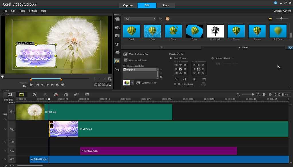 Комплексное решение для редактирования фото и видео — corel photo video bundle pro