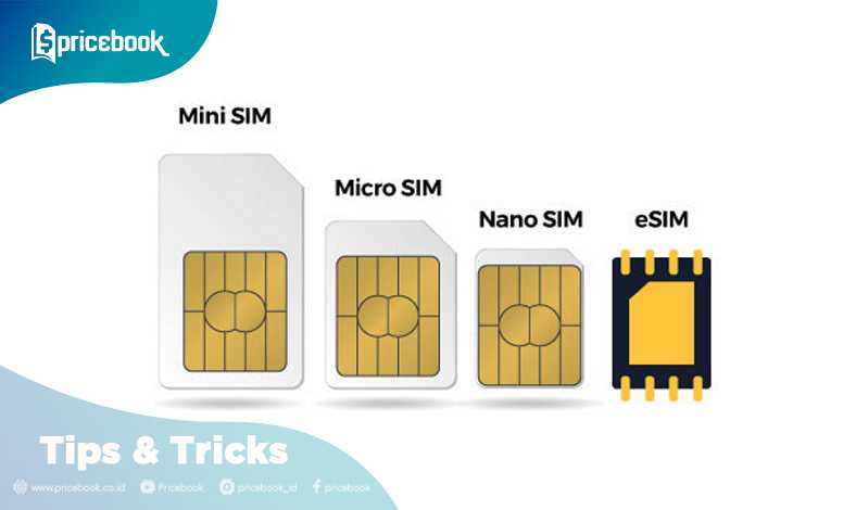 Iphone sim sim чем отличается. Esim и SIM В чем разница. Esim и Nano разница. Отличие ruim и SIM. E-SIM что это такое в телефоне.