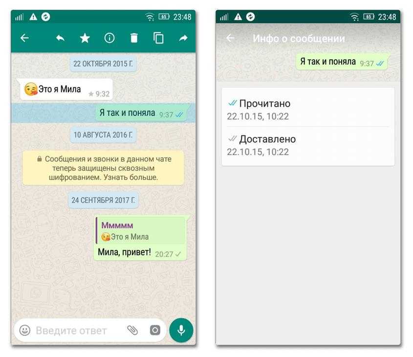 Входящие смс. Галочки в WHATSAPP. Если в ватсапе одна галочка. Что обозначают галочки в ватсапе. Статусы сообщений в WHATSAPP.