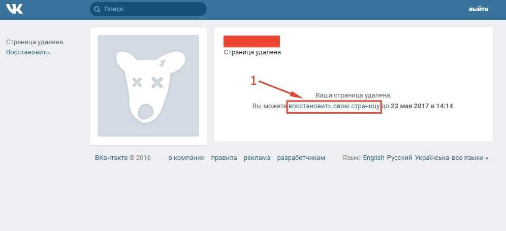 Как просмотреть фото на удаленной странице вконтакте
