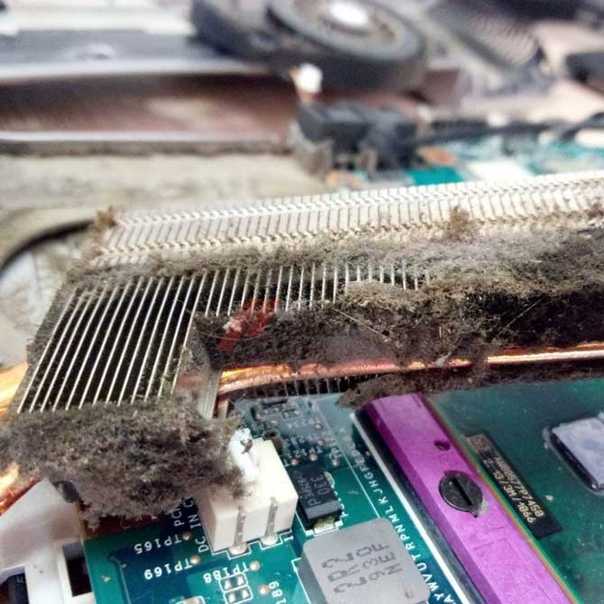 Как правильно почистить компьютер от пыли и грязи