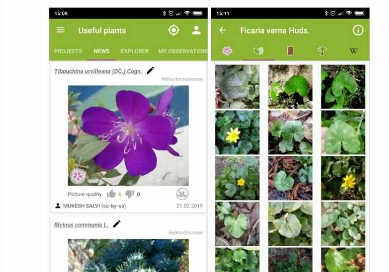 Приложение для распознавания растений по фото для айфона бесплатно
