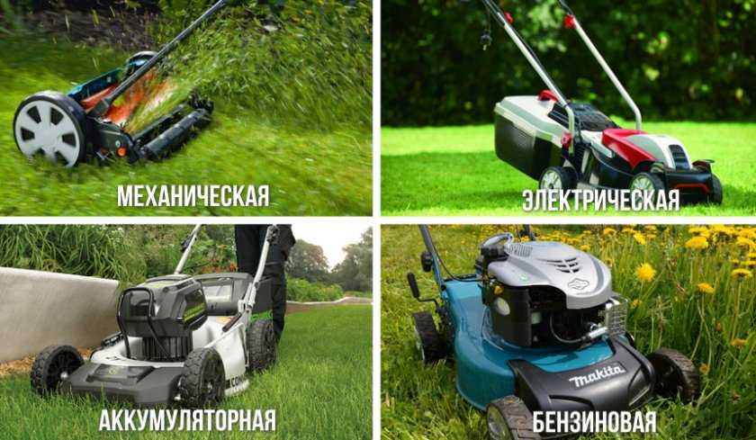 Надо ли собирать траву после триммера - xl-info.ru