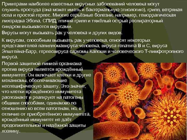 5 самых опасных вирусов в истории человечества