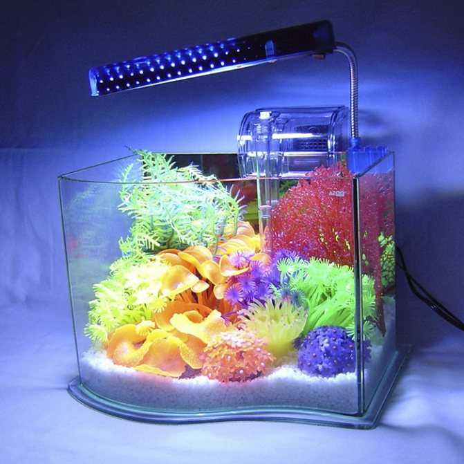 Можно ли вешать телевизор над аквариумом