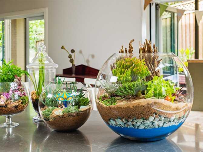 Как красиво оформить аквариум: дизайн, оформление, чем украсить 50, 100 и 200 литров, фото с рыбками и растениями, стили